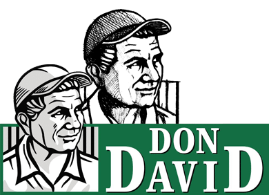 Primera versión de tu logo en 24 horas
