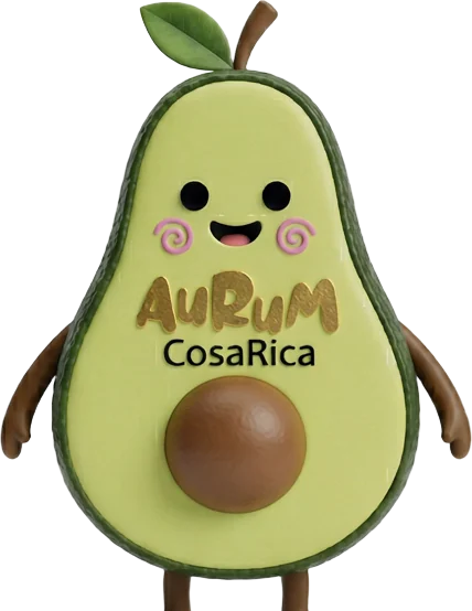 Aurumito en 3D, Frente