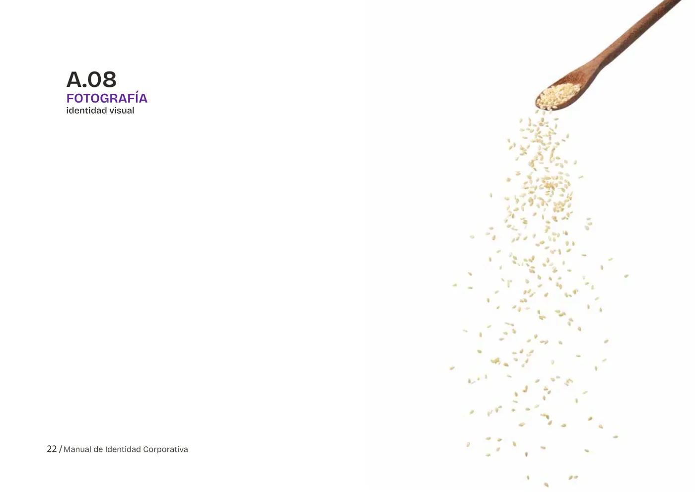 Agencia de branding, contenido para redes e IA