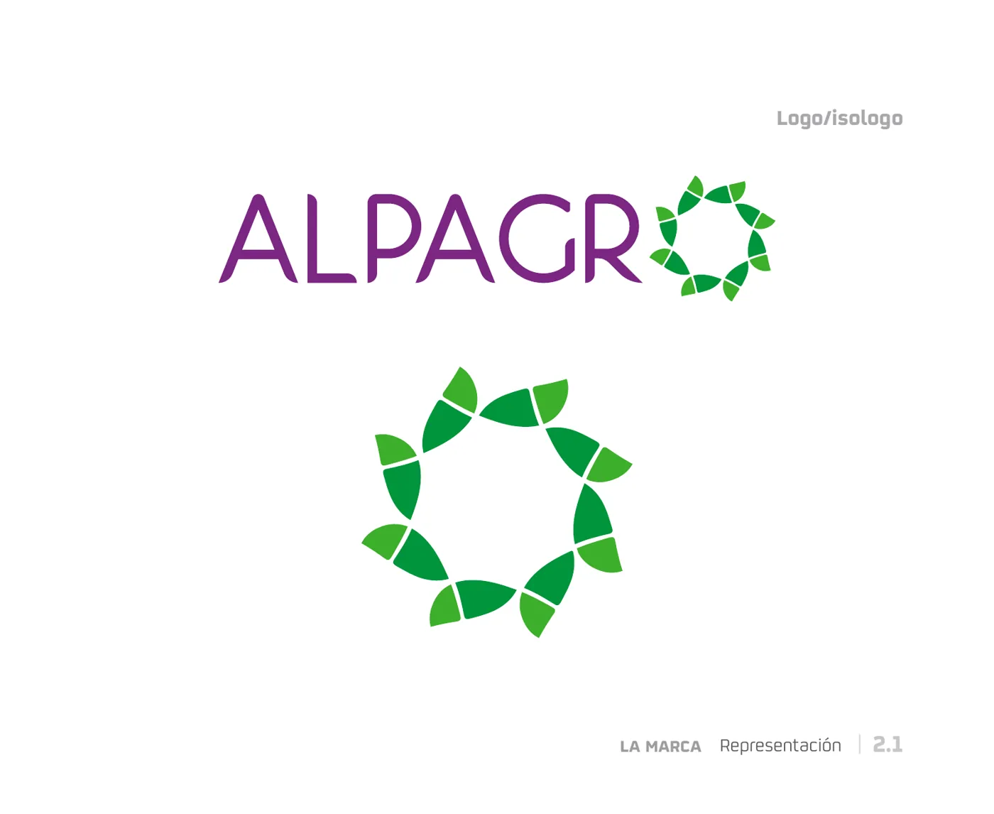Agencia de branding, contenido para redes e IA